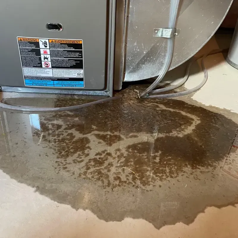 Appliance Leak Cleanup in National Park, NJ